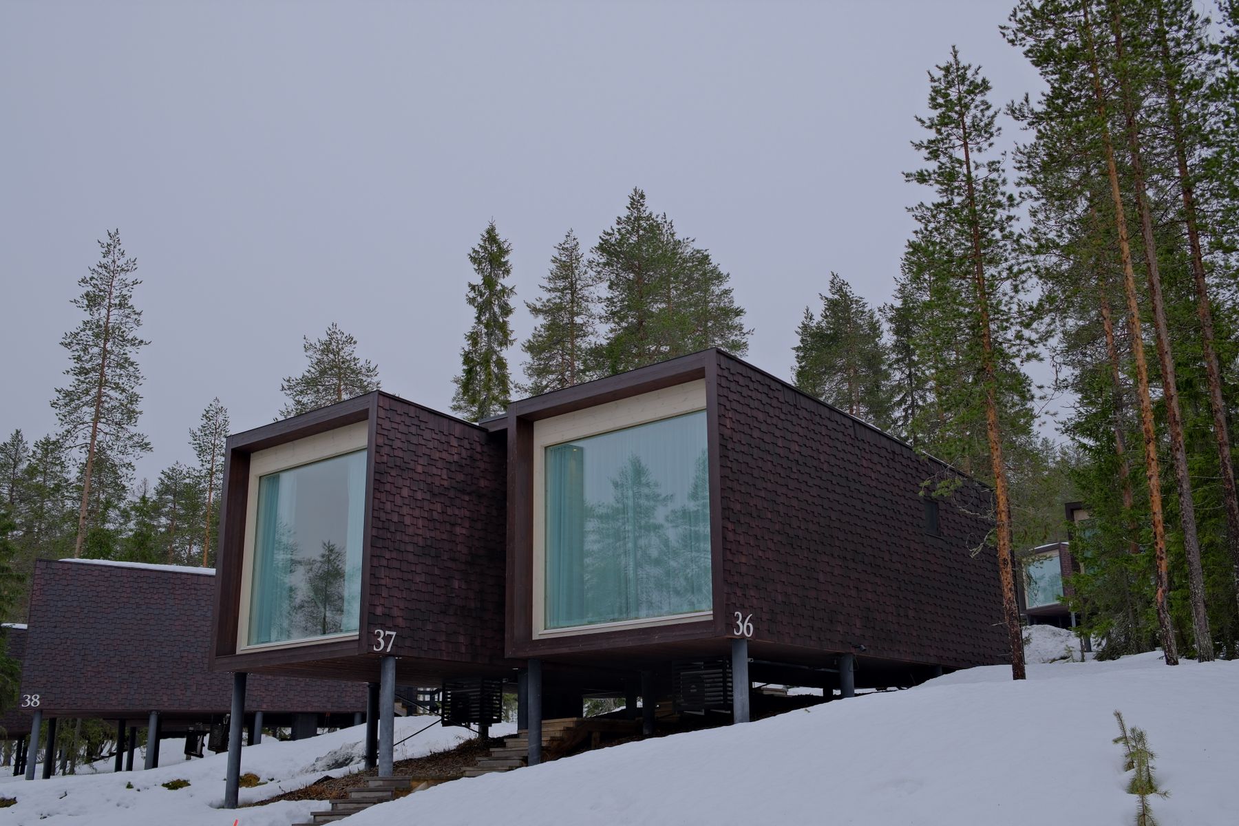 Contemporary mountain cabins positioned within a snowy evergreen landscape